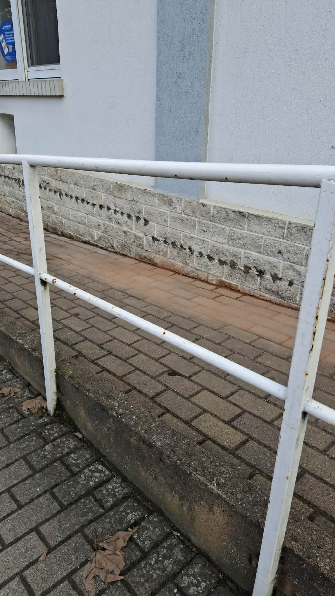 Falszigetelés injektálással — Csorvás, Gyöngy Patika (referencia 2)